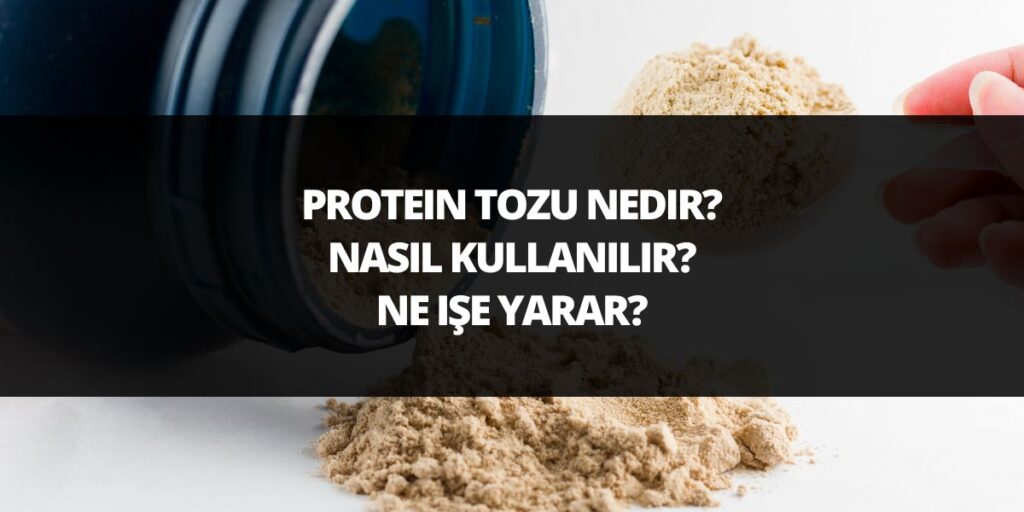 protein tozu nedir